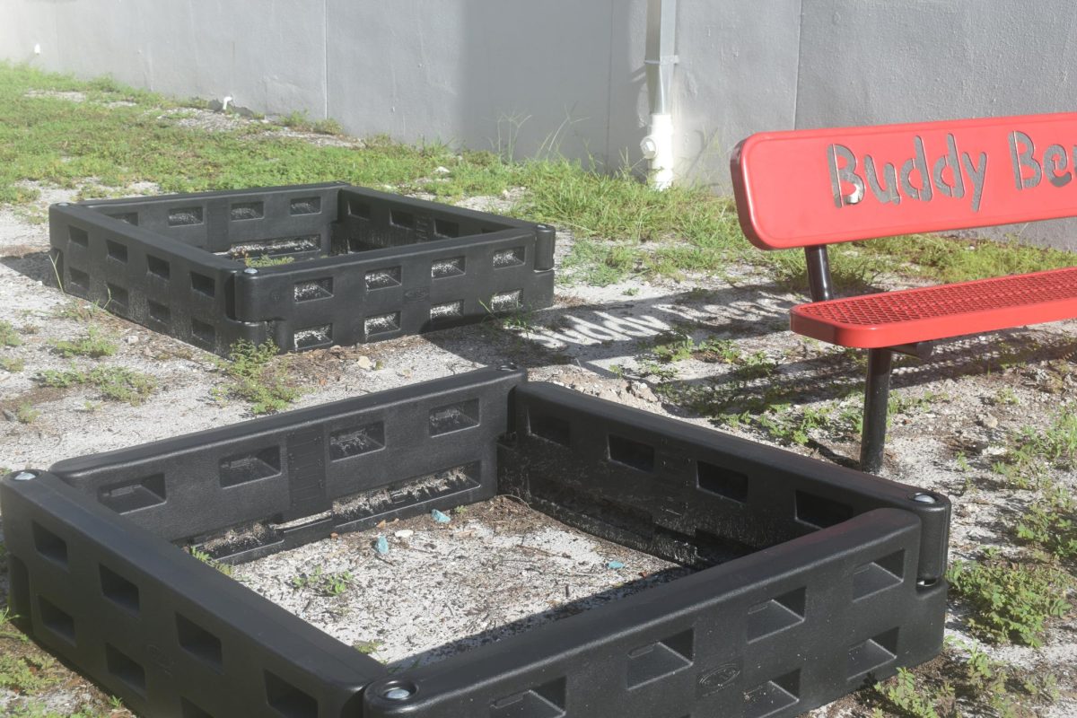 The garden will grow in the courtyard by the bus circle.