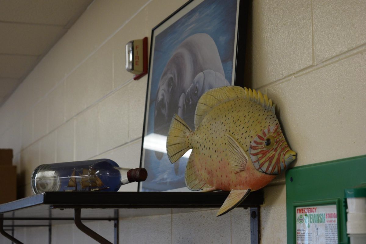 For teacher thrift gift, Ms. Copello got a ship in a bottle, and a large fish. 