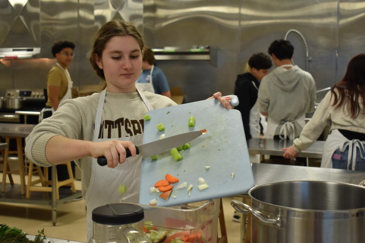 The vegetables are chopped up for the stock.