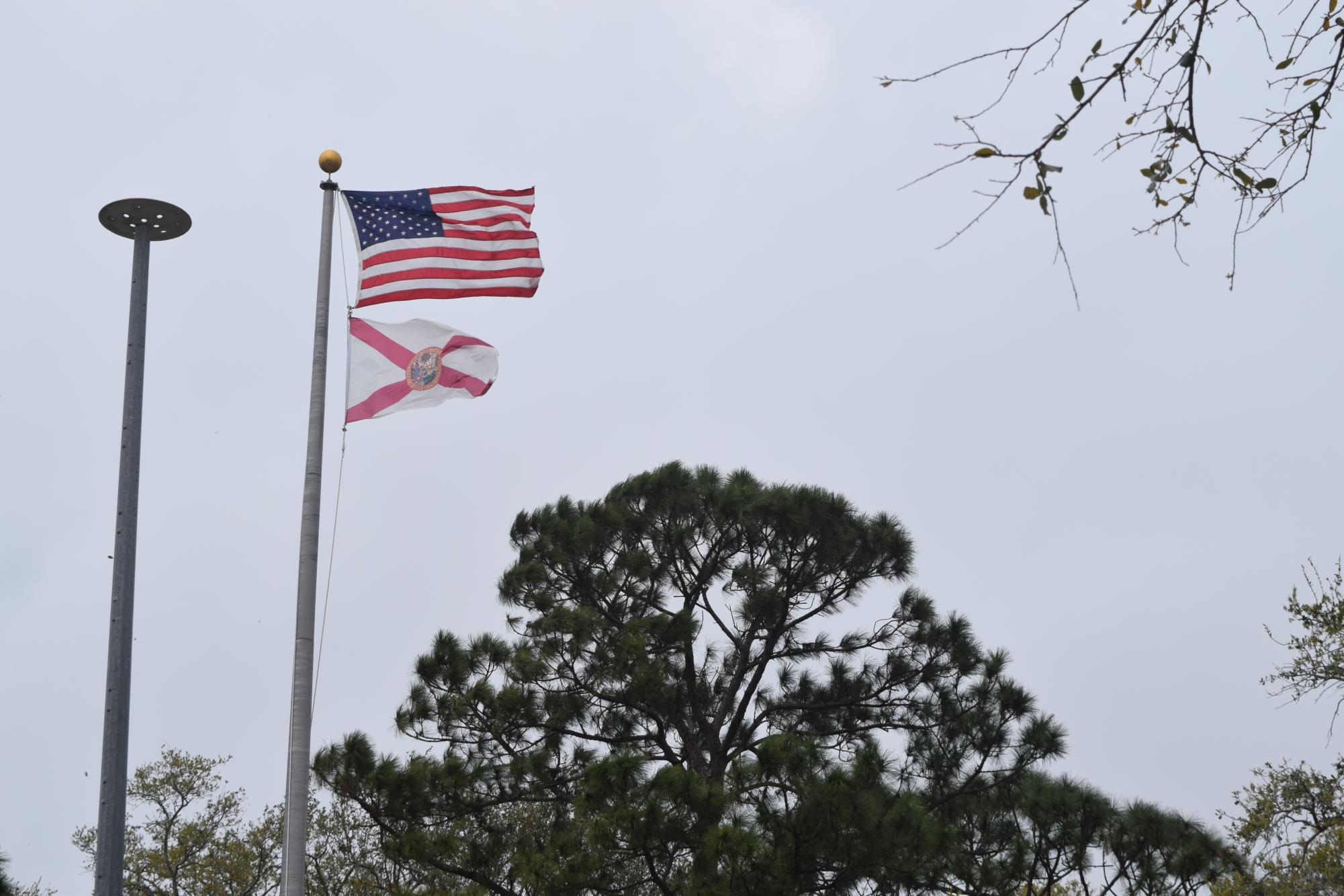 According to Bay News 9 there is a 80% chance of rain today with a low of 56 and a high of 77. Winds can reach up to 17mph today.